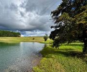 Top Dullstroom