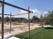 Top Elche