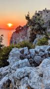 Top Cres