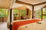Top Musiara Campsite
