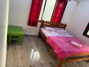Top Malvan