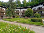 Top Pievepelago