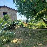 Top Bertinoro