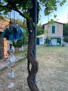 Top Bertinoro
