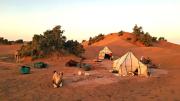 Bivouac