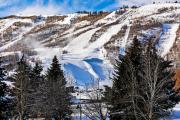 Top Park City