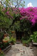 Top San Miguel de Allende