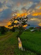 Top Tirtagangga