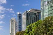 Top Panama