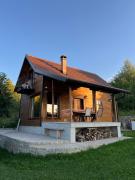 Vila Vlasinski mir