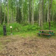 Top Wasilla