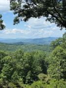 Top Pisgah Forest
