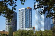 Top Bellevue