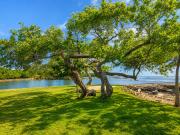 Top Isla Fuerte