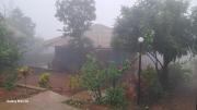 Top Amboli