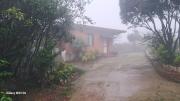 Top Amboli