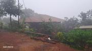 Top Amboli