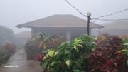 Top Amboli