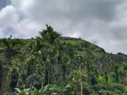 Top Kalasa