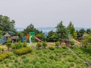 Top Yasugi