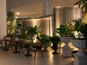 Top Phnom Penh