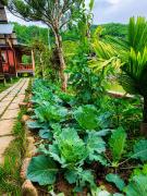 Top A Lưới (1)