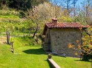 Top Bibbiena