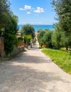 Top Pisciotta