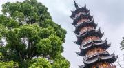Top Guangzhou