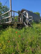 Tiny House De Skierroek