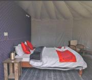 Top Man