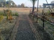 Top Waya Top Waya