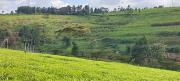 Top Nairobi
