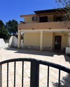Top Porto Pino