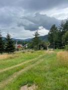 Top Mykulychyn
