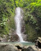 Top Parrita