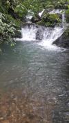 Top Parrita