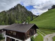 Top Lovara