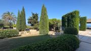 Top Cupra Marittima