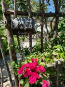 Top Dolceacqua