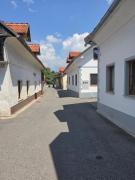 Top Kamnik