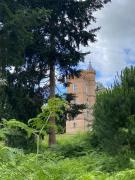 Top East Horsley