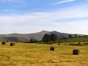 Top Llandeilor-Fan