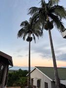 Top Port Shepstone