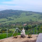 Top El Pelayo