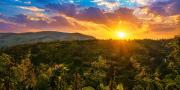 Top Vagamon