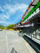 Top Pereira