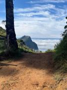 Top Gonçalves