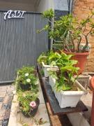 Kesarion Stay 2