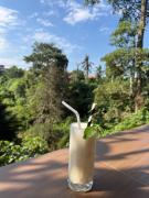 Top Ubud